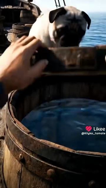 какой. напиток ты выберешь?