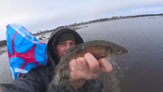 ПОЛНАЯ СЕТКА РЫБЫ! СИГ ВЫРВАЛ ПЕРВЫЙ КОЛ ЗАМОТАЛСЯ НА ВТОРОМ!БЫЛ НЕ ОДИН С БРАТЬЯМИ И СЁСТРАМИ!