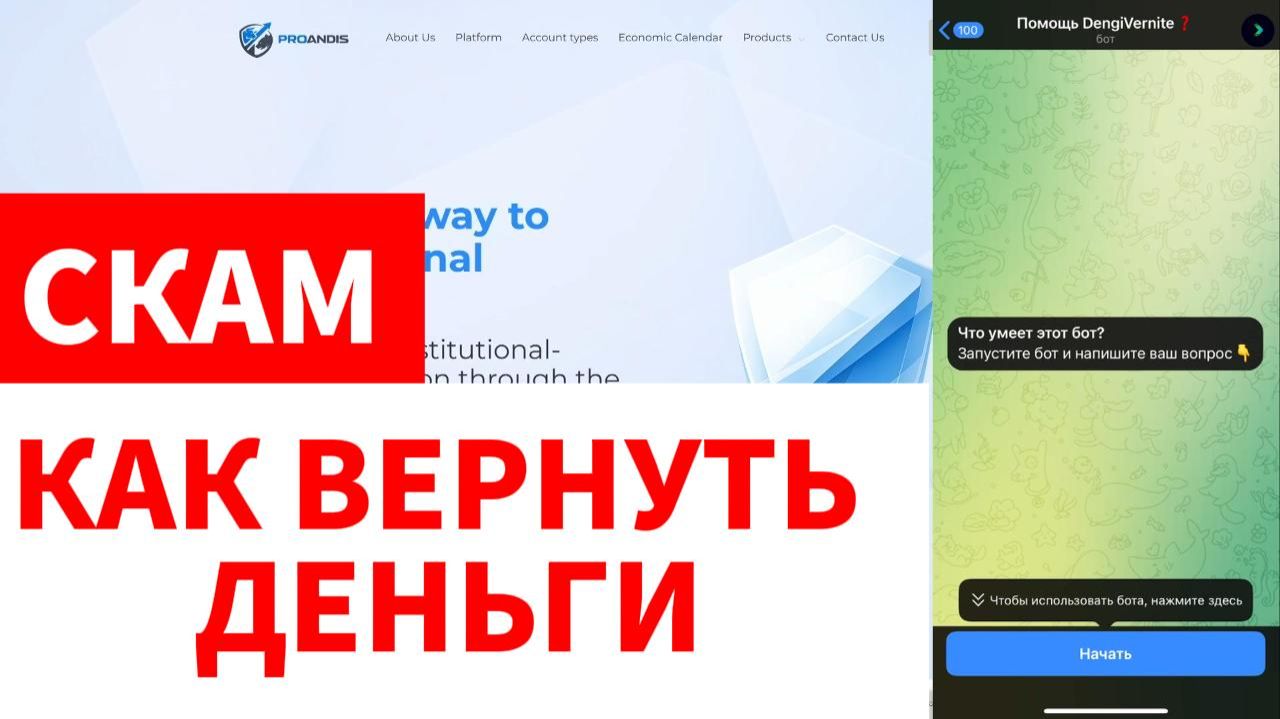 Proandis (proandis.com, area.proandisedge.com) обзор, отзывы. Скам?