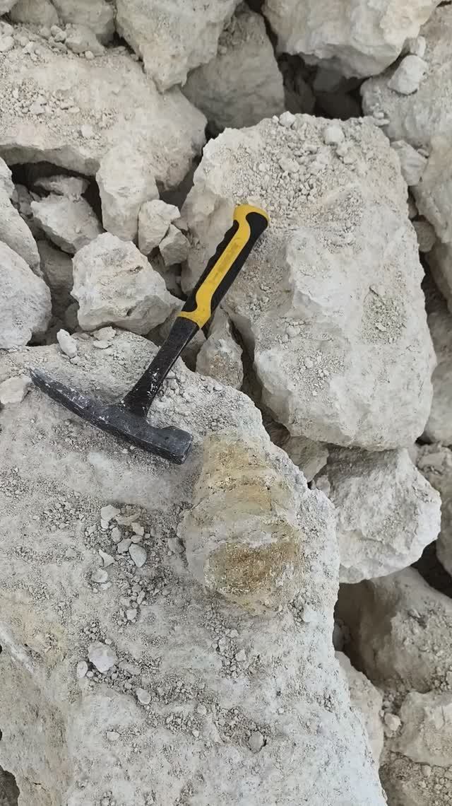 8db227ae4896c131d8c59d07a7f53571