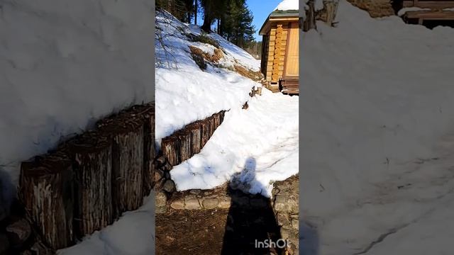 Зима 2026 прогулка к речке.