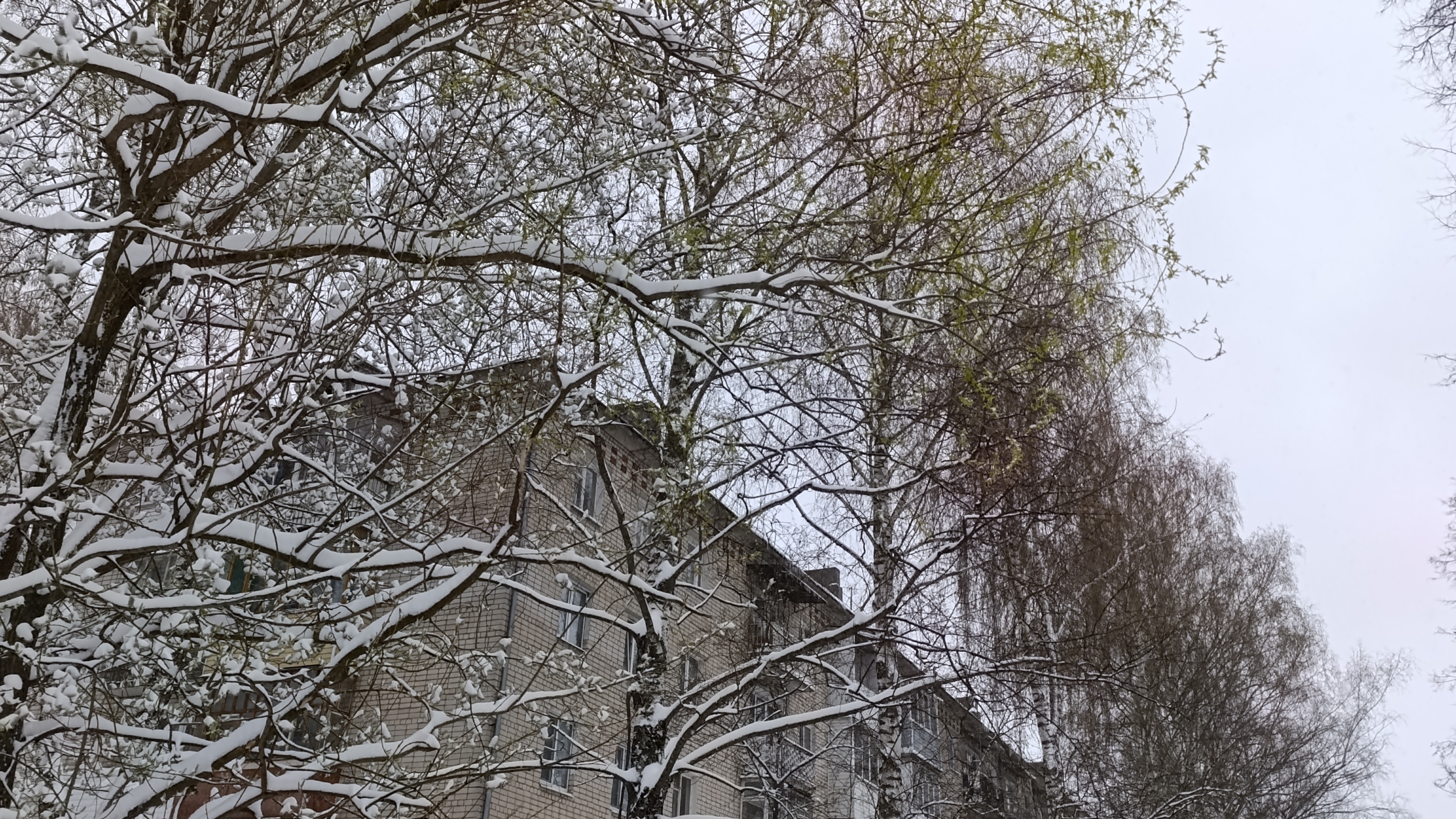 Зима вернулась...(21-04-2026)