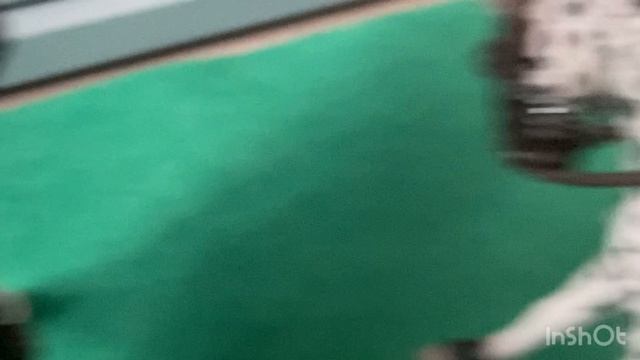 день Кати на конюшне.Часть 1❤️