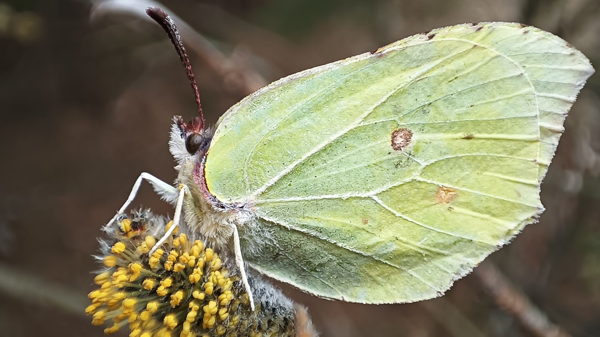 Экотерапия 82 серия.