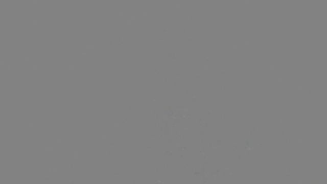 Анатомия Майдана. Шестая серия. Кульминация