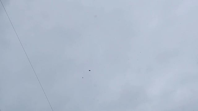 немного о молодых.