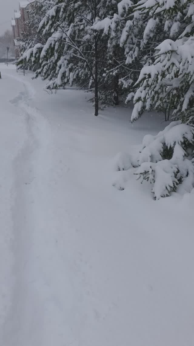 На работу  в любую погоду!