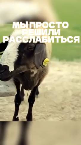 02ab48be17a1055de1518e67234be06f