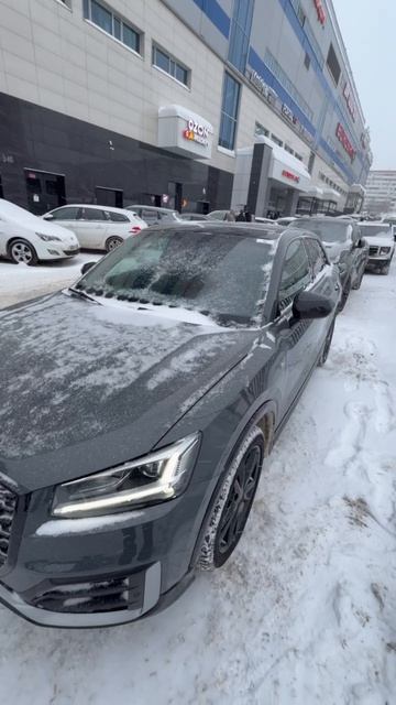 document_5226699977727709417