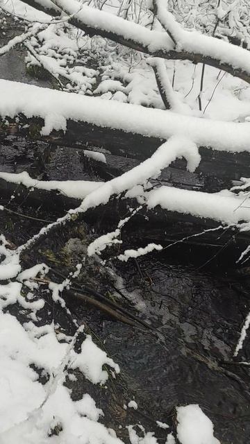 20 Апреля 2026