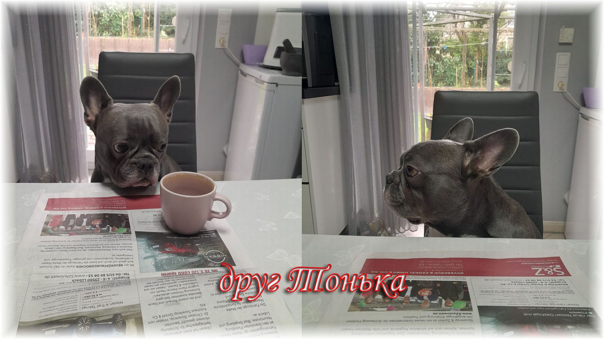 EW2026 - Друг Тонька - Friend Tonka (v031-surfRock)