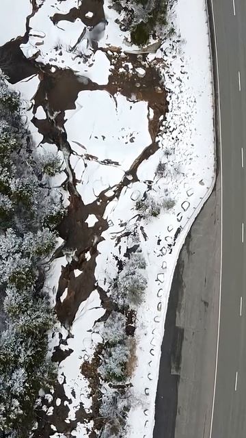 Великие цитаты и Золотые слова! #психология #философия #shortvideo #shorts #шортс #любовь