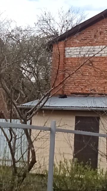 Без лапик часть 3