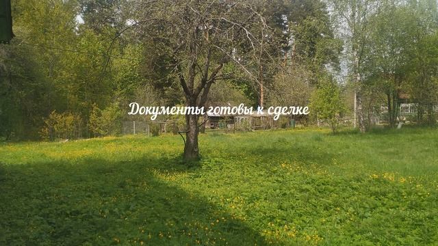 д. Скурыгино