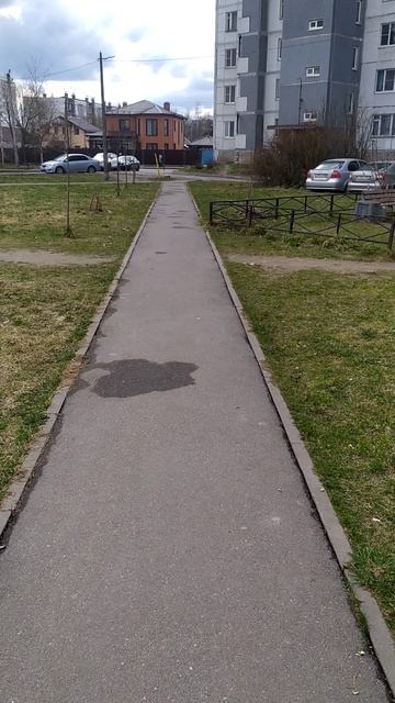 Как я в этом году на Паску красила яйца