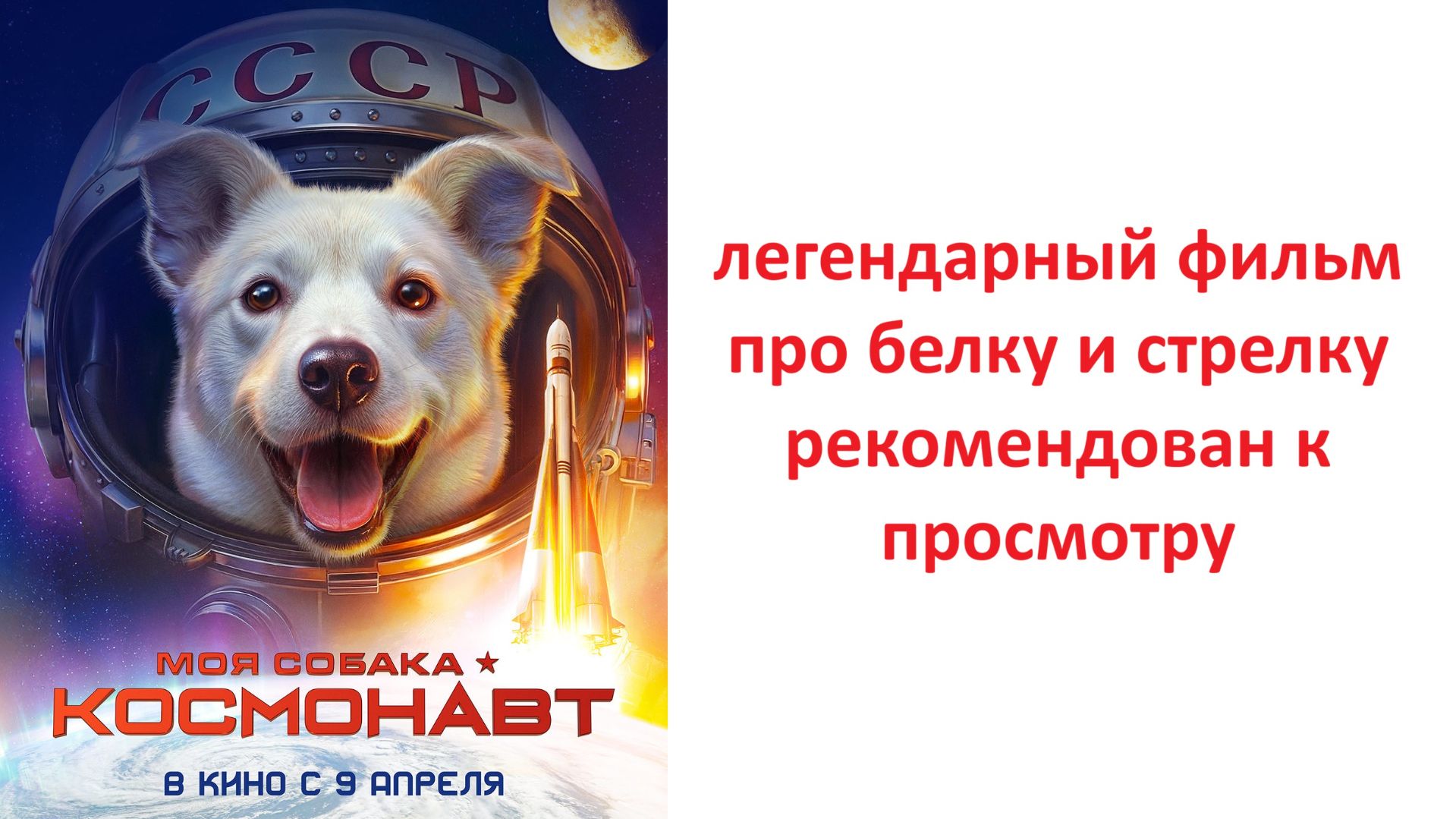 Моя собака – космонавт фильм 2026 года, стоит ли смотреть? рассказываю