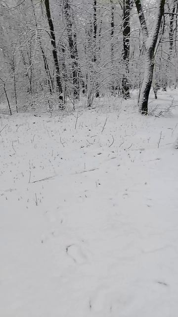 чудеса природы