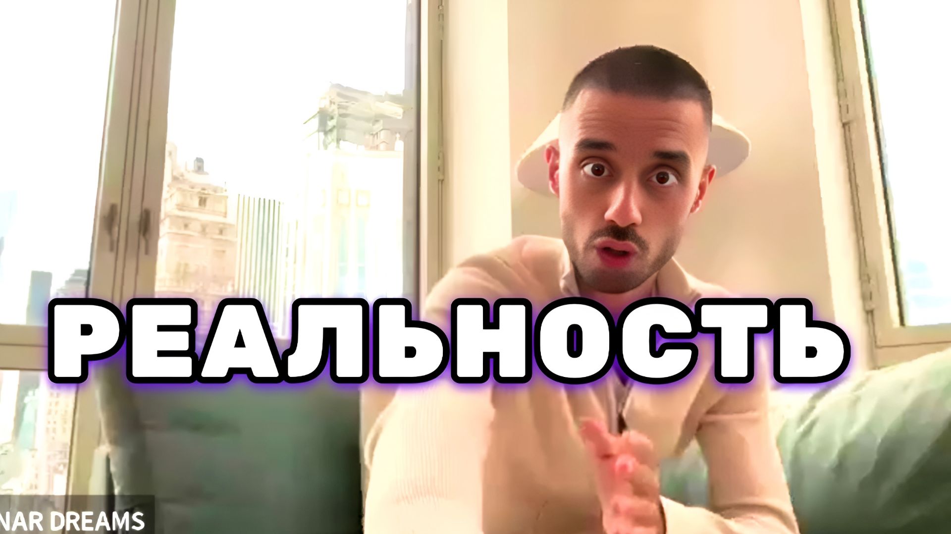 Принять Реальность и отпустить. Исследование сознание в жизненных формах. Анар Дримс