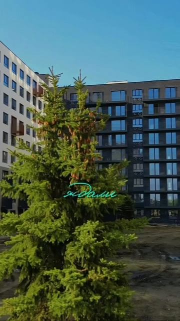 ☀️ 🌱 Вот это — понимаем. Настоящая весна.
Чувствуете? Воздух уже другой: торопится, подталкивает,