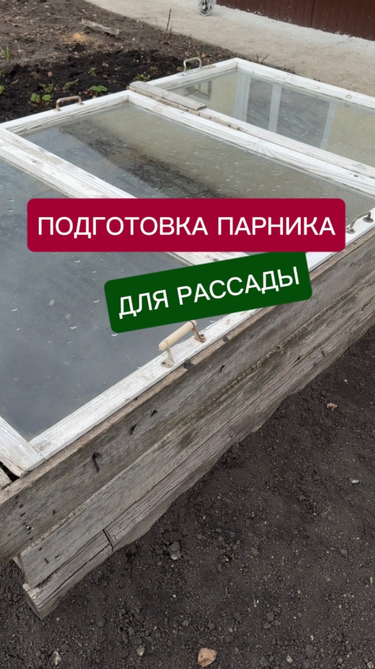 Как подготовить парник к посадке рассады