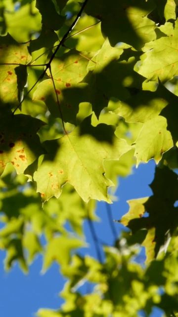 Цитаты Великих Людей. #психология #философия #мотивация #shorts #shortvideo #reels