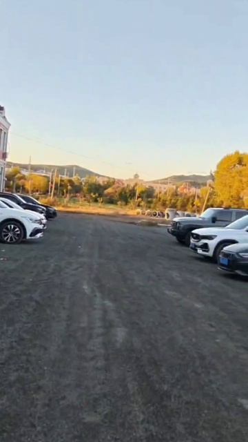 video_2025-11-27_16-14-41