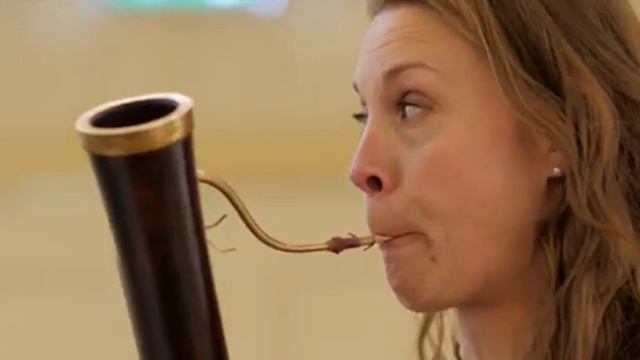 G P Cima Sonata A 2 A Stegmann Recorder IM Klaucke Dulcian A Nepomnyashchaya Organ