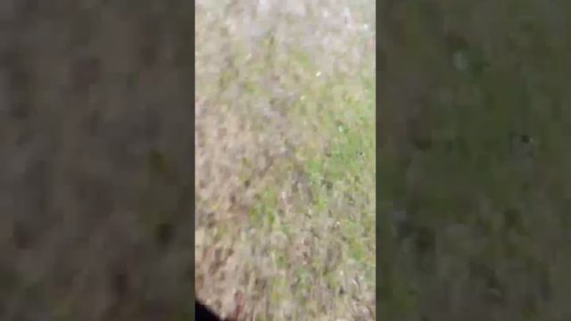 выживание 
1 часть