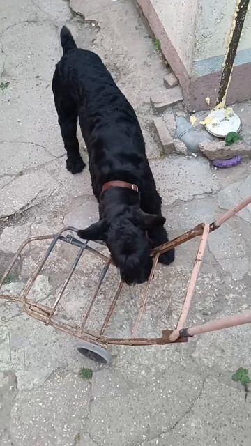 Video.Guru_20240817_180610141