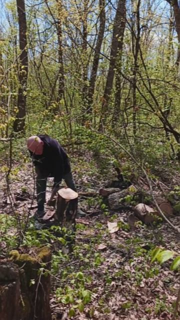 Чурка vs Топор:кто кого?