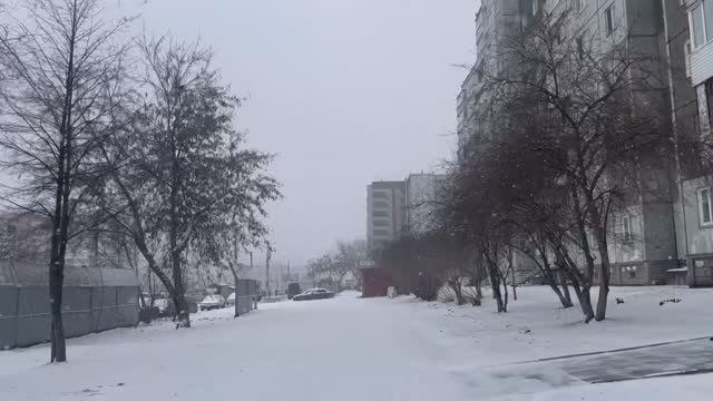 Снегопад в апреле .Красноярск