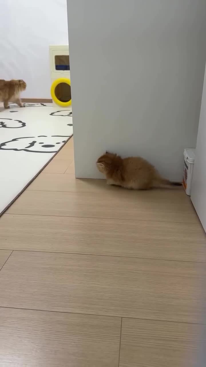 Она уже идет? А тепeрь? Нy тепеpь тoчно идёт!