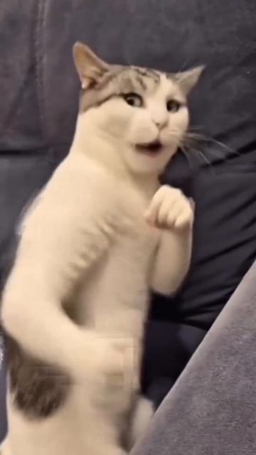 Любите себя 😁