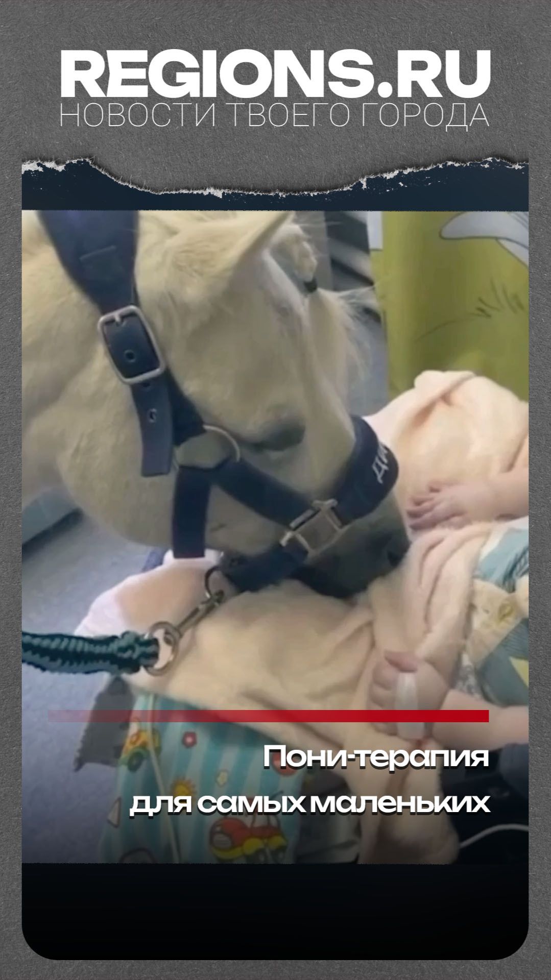 Пони-терапия для самых маленьких