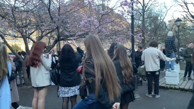 влог: собеседование в Россию ✈️, Михайловская дача ️, Сакура , заброшенный ДК