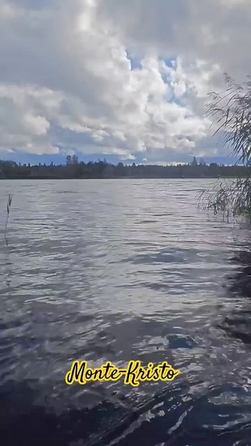 Ac6890c05541a81465d9056bfc0081bc