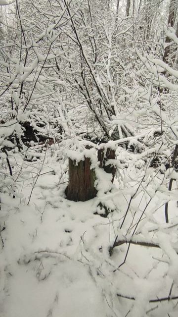 20 Апреля 2026