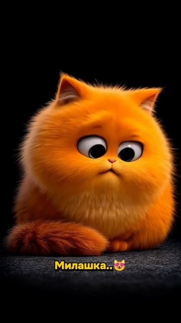 Милый котик💛