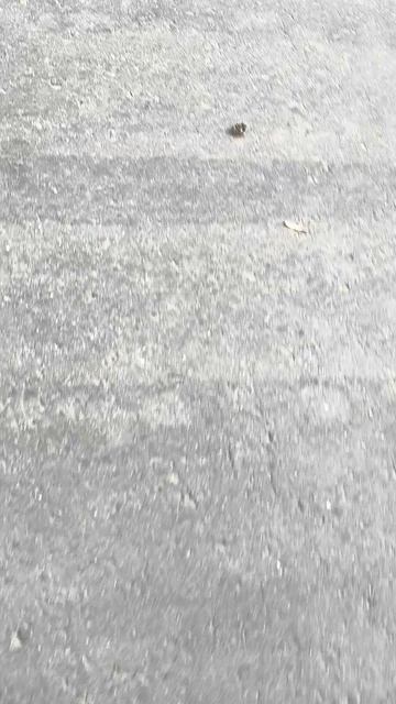 вышел из школы