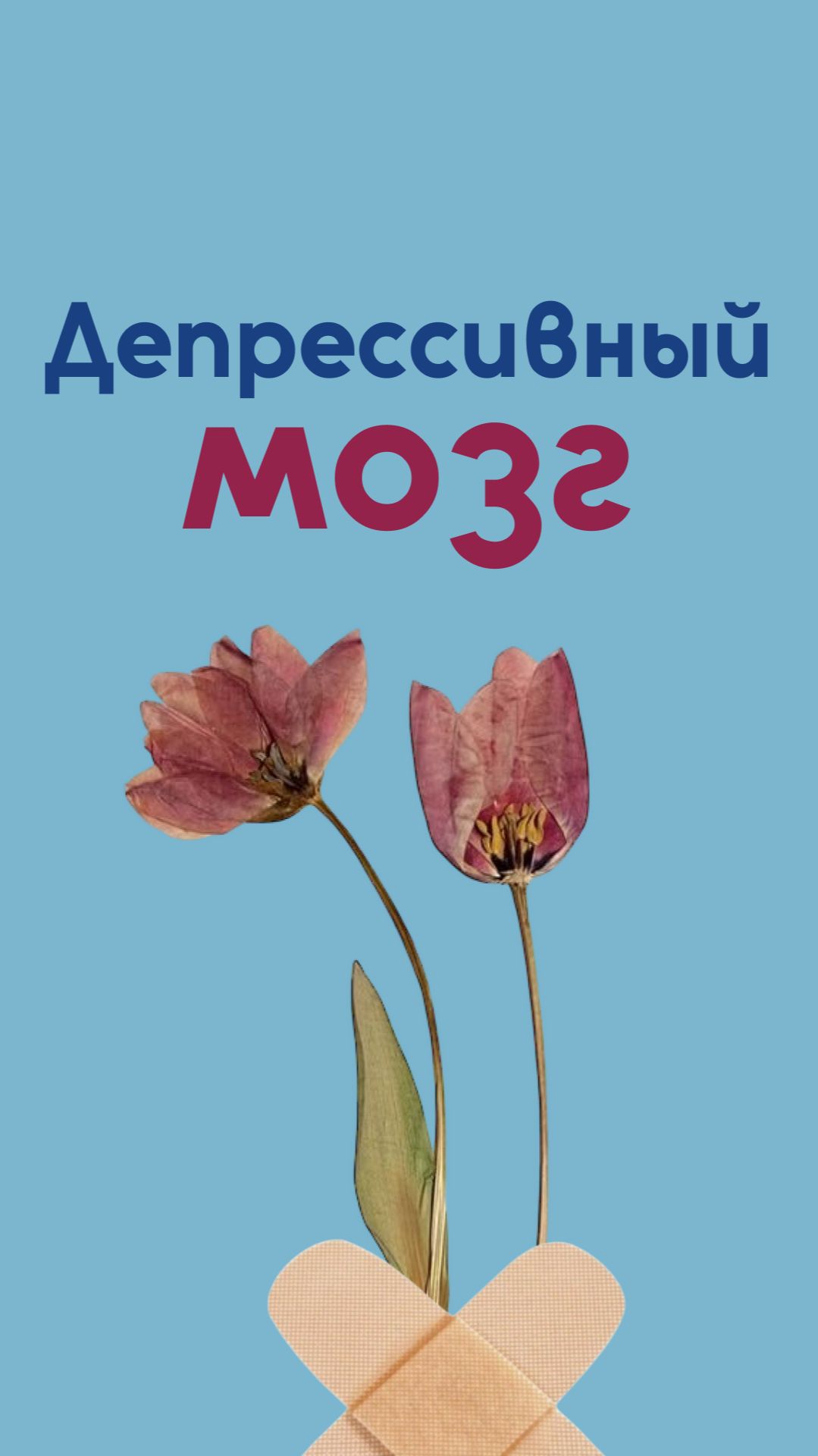 Депрессивный мозг.