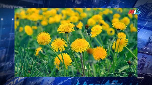 Что волгоградцам строго запрещено делать 22 апреля, дабы беды обошли стороной