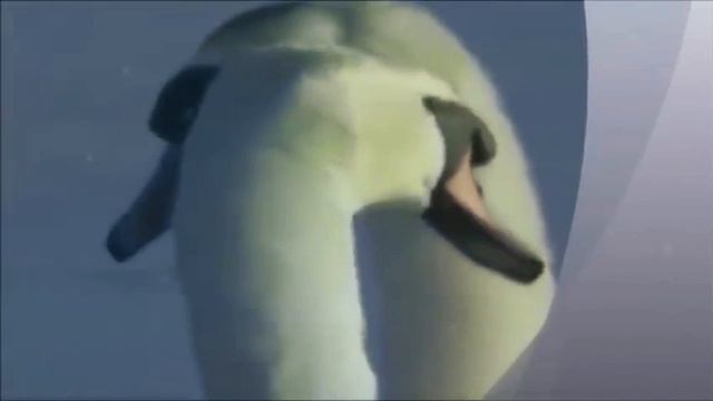 Красивый танец лебедей.