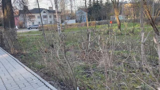 Гуляю по городу