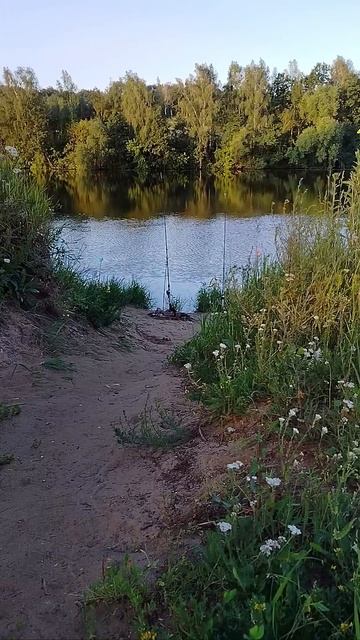 Лучшие цитаты великих людей! #великиелюди #цитаты #философия #психология #shorts #шортс