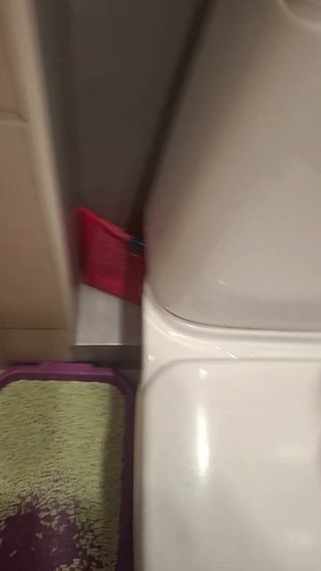 #обзор #на #туалет