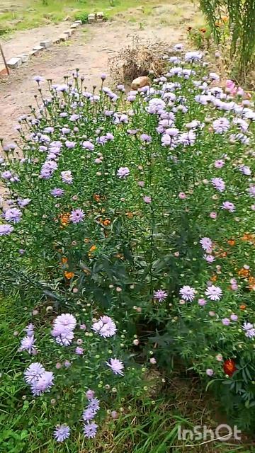 16 сентября 2025