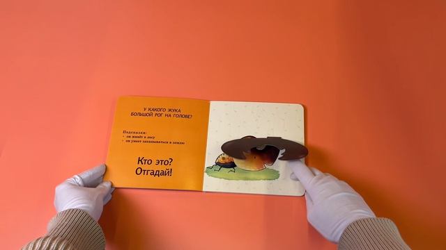 Интерактивные загадки. Кто здесь прячется? (улитка)
