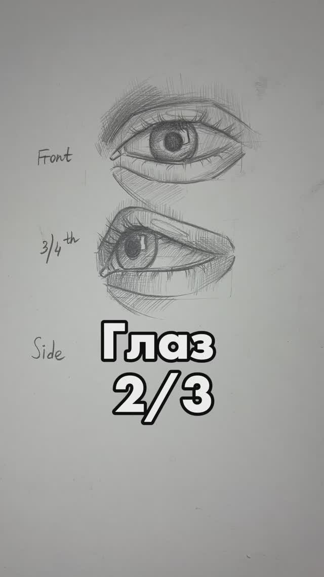 Глаз 2/3