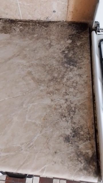 Общий уголок возле раковины на соседской стороне. Помогите уехать! Сб 5336690144598952