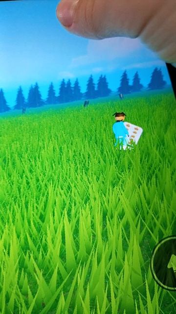 Тимоха в роблоксе